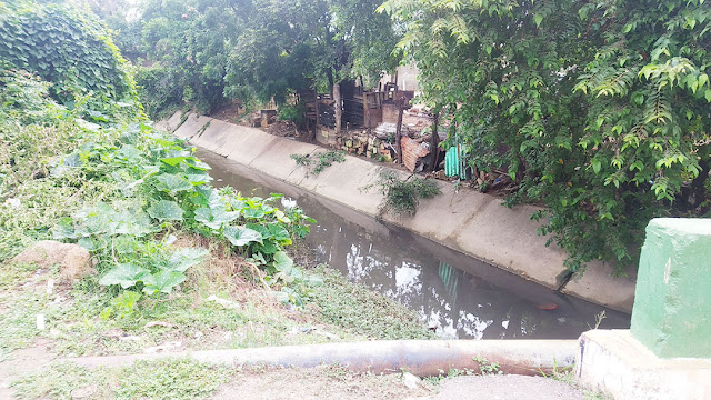 LLUVIAS AGUDIZAN COLAPSOS DE AGUAS NEGRAS EN CARORA