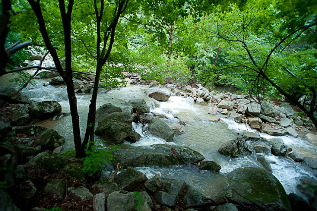 명성산 우중산행