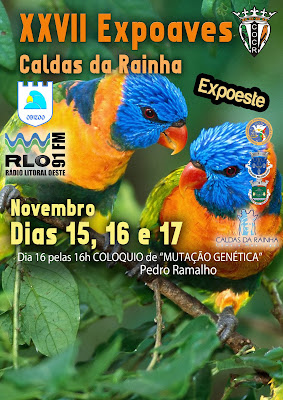 http://www.cm-caldas-rainha.pt/portal/page/portal/PORTAL_MCR/VISITANTE