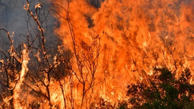 Παραμένει σε υψηλό κίνδυνο πυρκαγιάς η Αργολίδα και σήμερα 12/8