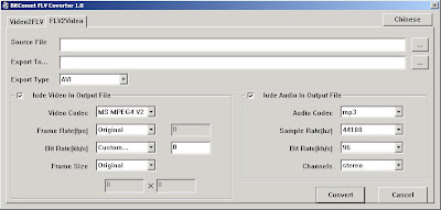BitComet FLV Converter