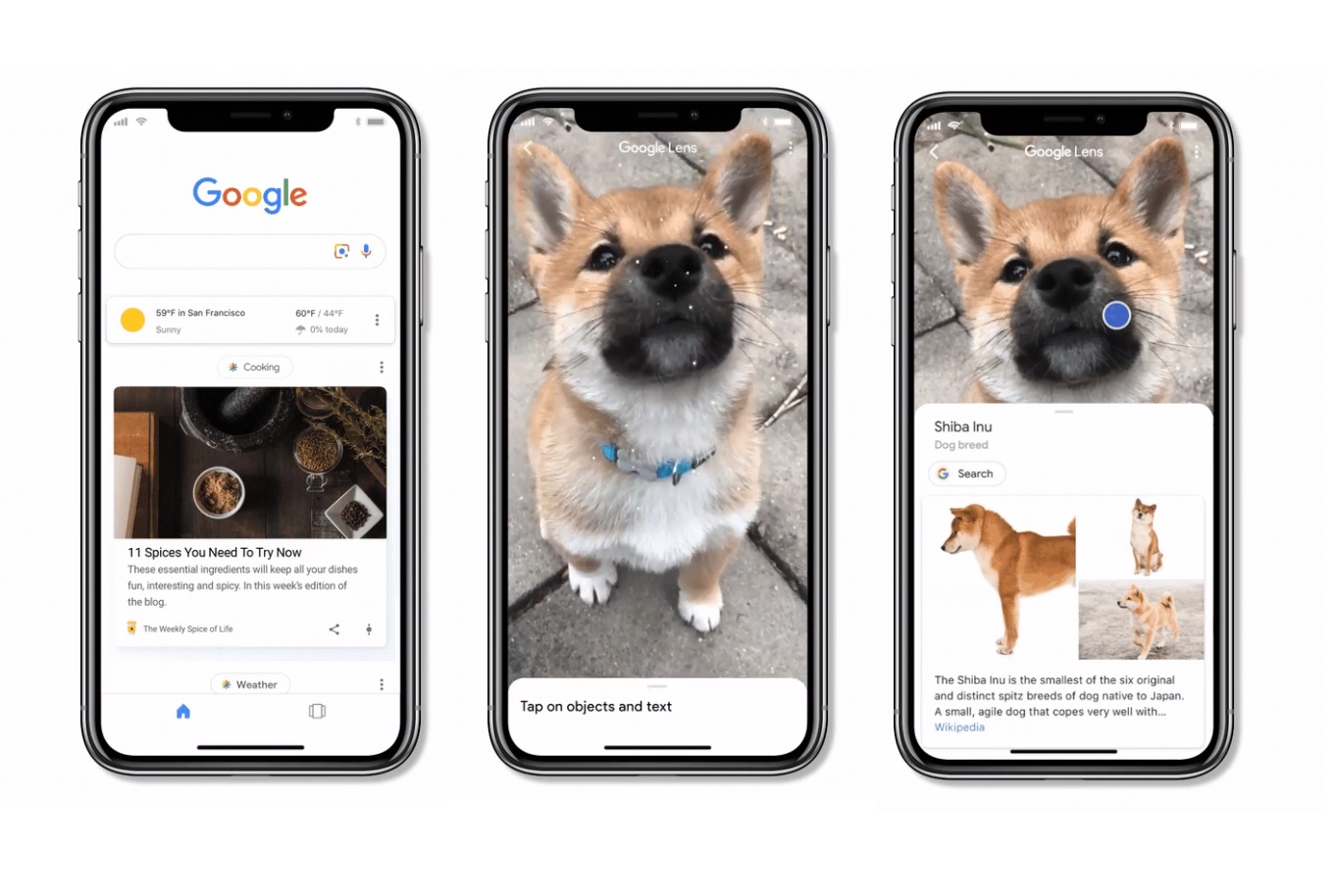  Google  Lens  Launched in iOS  App Digital Information World