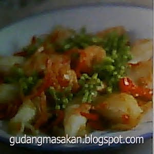 Resep Masakan Tumis Bunga Pepaya