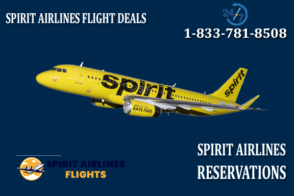  Spirit Airlines reservations 