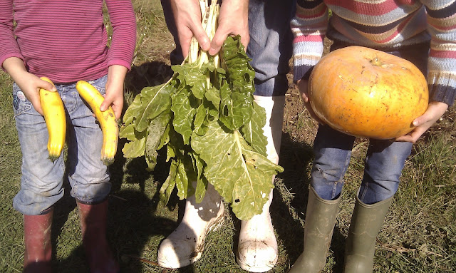 Allotment haul