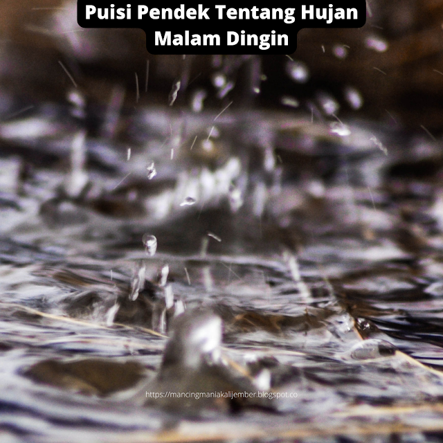 Puisi Tentang Hujan, Puisi Tentang Hujan Dan Rindu, Puisi Pendek Hujan, Puisi Hujan Singkat, Hujan Puisi, Puisi Hujan Di Pagi Hari, Puisi Hujan Romantis, Puisi Tentang Hujan 3 Bait, Puisi Hujan Malam, Puisi Tentang Hujan 5 Bait, Contoh Puisi Tentang Hujan, Puisi Hujan Islami, Puisi Tema Hujan, Puisi Hujan Di Malam Hari, Puisi Hujan Dan Rindu, Puisi Musim Hujan, Puisi Hujan Turun, Puisi Tentang Hujan 1 Bait, Puisi Tentang Hujan 4 Bait, Puisi Walau Hujan, Puisi Kuhentikan Hujan,Puisi Tentang Kopi Dan Hujan, Puisi Kopi Dan Hujan, Puisi Tere Liye Hujan, Puisi Hujan Deras, Puisi Tentang Cuaca Hujan, Kumpulan Puisi Tentang Hujan, Puisi Hujan Desember, Puisi Hujan Rintik Rintik, Puisi Romantis Saat Hujan, Sajak Hujan, Sajak Hujan Dan Kopi, Sajak Hujan Twitter, Sajak Pendek Hujan, Sajak Hujan Singkat, Sajak Hujan Di Pagi Hari, Puisi Hujan Bulan Juni, Hujan Bulan Juni Puisi, Tema Puisi Hujan Bulan Juni, Puisi Hujan Di Bulan Juni, Jelaskan Tema Dari Puisi Hujan Bulan Juni, Puisi Bulan Juni, Hujan Di Bulan Juni Puisi, Puisi Di Bulan Juni, Kumpulan Puisi Hujan Bulan Juni, Puisi Hujan Bulan Juli, Cara Membaca Puisi Hujan Bulan Juni, Puisi Hujan Bulan Januari, Puisi Film Hujan Bulan Juni, Puisi Hujan Di Bulan FebruariKamu dan Hujan, Tentang Hujan, Setetes Kenangan Hujan, Saat Hujan, Menjadi Hujan, Puisi Hujan dan Namamu, Hujan Hari Ini, Hujan dan Kenangan, Rindu Bersama Hujan, Jadikan Aku Hujan, Suka Hujan, Apa Kabar Hujan, Puisi Hujan Hadirkan Cinta, Memori Tetesan Hujan, Terjebak Hujan, Puisi Hujan dan Pelangi, Namaku Hujan, Bukan Air Mata, Musim Hujan Berselimut Duka, Air Mata Langit, Pengingat Perih, Tenggelam, Burung Elang, Puisi Hujan di Ternate, Terlampau Indah, Sahabat Hujan, Menari Bersama Hujan, Dunia Baru, Seperti Hujan, Puisi Hujan Bulan Juni, Puisi Hujan, Hujan Terakhir Dalam Ingatan, Suara Hujan, Puisi Hujan Malam Ini, Puisi Hujan dan Perjalanan, Rintik Rindu Novena, Rintik Hujan, Kisahku dan Hujan, Langit Mendung Dua Kota di Pagi Hari, Aku Rindu Hujan, Saat Merindumu, Simfoni Hujan, Puisi Sapardi Djoko Damono Hujan Bulan Juni, Puisi Hujan Bulan Juni Karya Sapardi Djoko Damono, Puisi Pak Sapardi Hujan Bulan Juni, Kumpulan Puisi Sapardi Djoko Damono Pdf, Puisi Sapardi Djoko Damono Pdf, Puisi Sapardi Hujan Bulan Juni, Puisi Hujan Bulan Juni Sapardi Djoko Damono, Puisi Sapardi Djoko Damono Hujan Di Bulan Juni, Kumpulan Puisi Sapardi Djoko Damono Hujan Bulan Juni, Hujan Bulan Juni Puisi Sapardi Djoko Damono,,