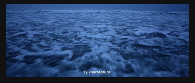 Winter Coast