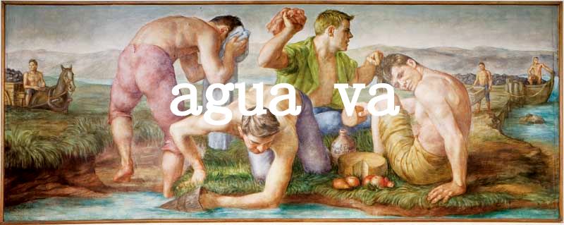 Agua va