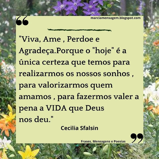 "Viva, Ame , Perdoe e Agradeça.Porque o "Hoje" é a única certeza que temos para realizarmos os Nossos Sonhos , para valorizarmos quem Amamos , para fazermos valer a pena a VIDA que Deus nos deu."  Cecilia Sfalsin