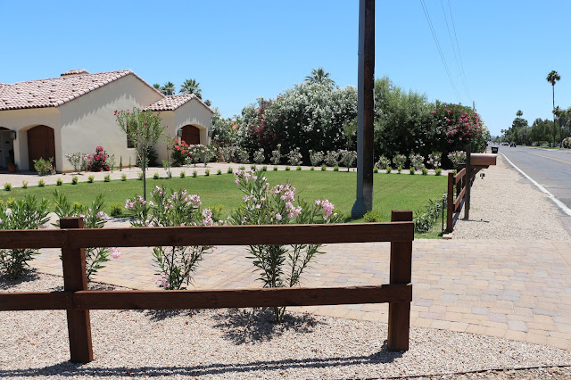 arizona gardens, arizona homes, front yard landscape, arizona landscape