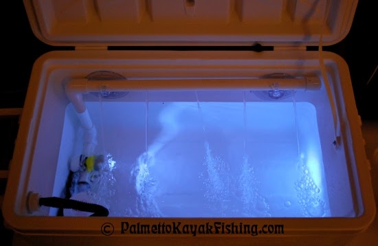 Palmetto Kayak Fishing: Deluxe DIY Kayak Bait Well with Light