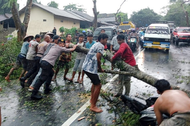 Polres Loteng bantu evakuasi korban tertimpa pohon tumbang di Desa Kumbung