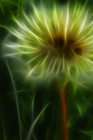 3d Wallpapers For Mobile Phones