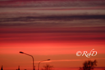 solnedgång, lyktstolpar mot bakgrund av himmel. foto: Reb Dutius