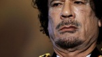 gaddafi dead