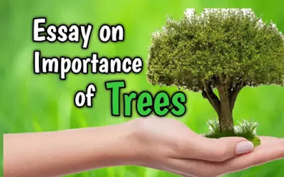 essay on importance of trees for class 10