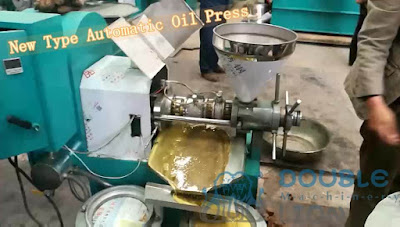 edible oil press-full automatic oil press