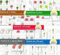 Botany Unit Bundle Pack