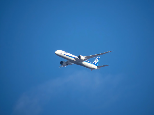 真っ青な空の中に上昇中してゆくANAの旅客機