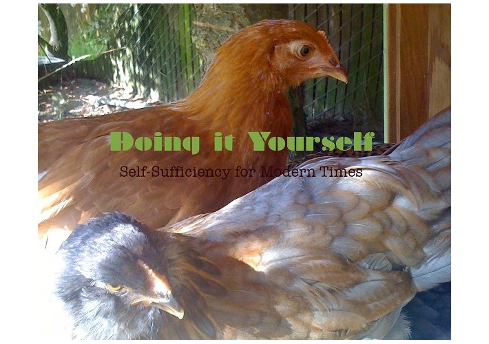 Doing it Yourself