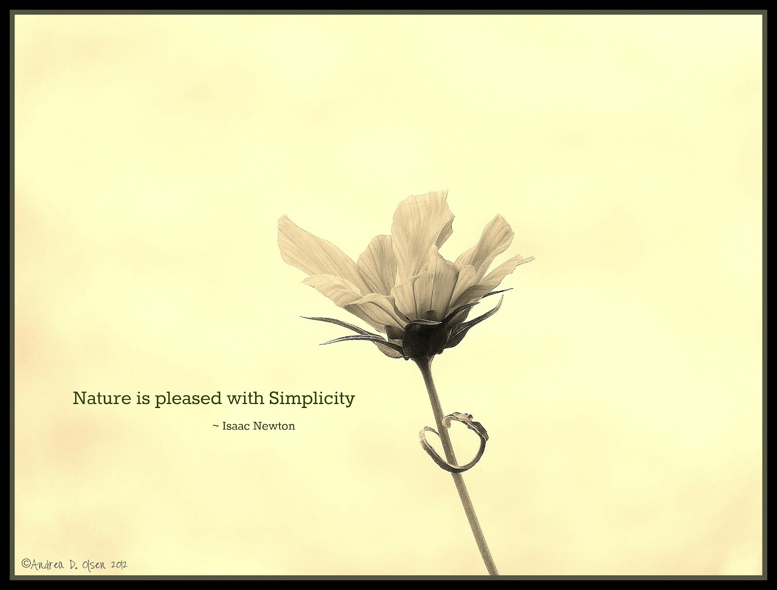 I hope you enjoy the following photos and quotes on simplicity