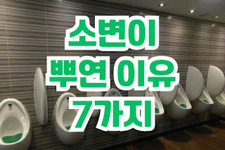 소변이 뿌옇다