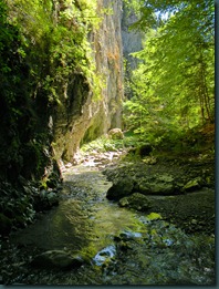DSCN5084