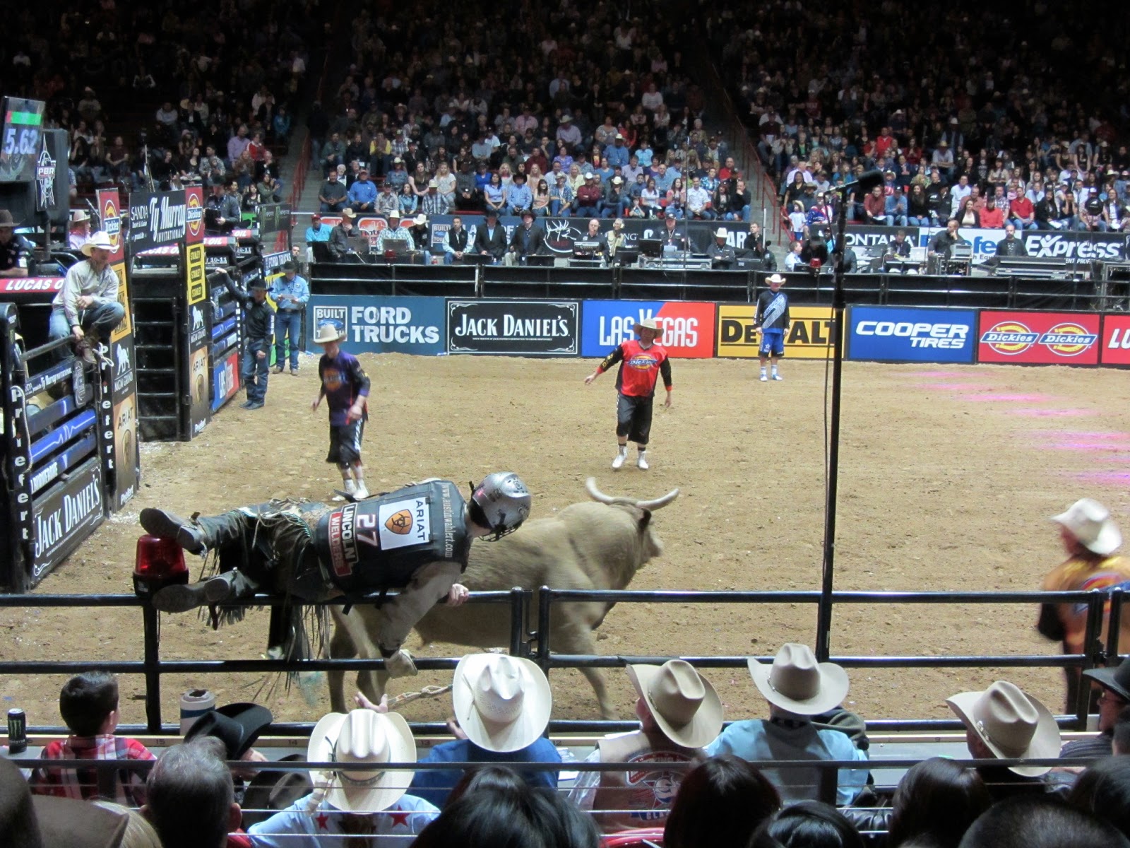 PBR Bulls Wallpaper http://hd3wallpapers.blogspot.com/2012/11/pbr-bull ...