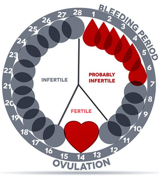 5 Ways to Calculate Women's Fertile Period by Calendar Method to Achieve Pregnancy