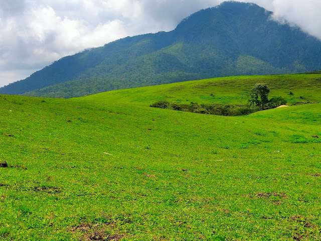 Pemandangan Fulan Fehan