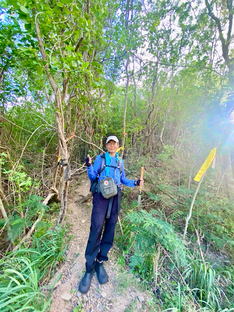 巴層巴墨山登山口