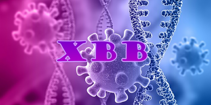 Who: Covid-19 Variant Xbb Identified In 26 International Locations