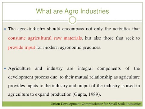Examine the features of the Agro based Industries related to economic development of India? Class 10th