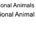 Rational Animal - Rational Animals