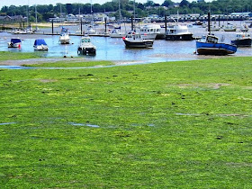 harbour at st helens