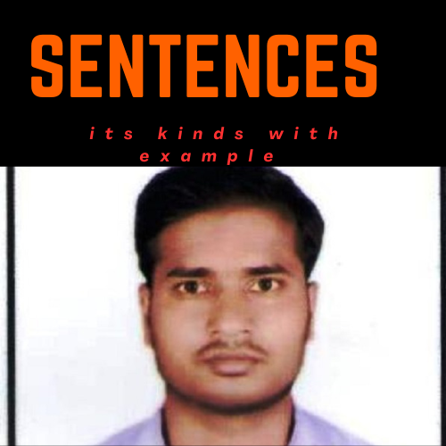 sentence and its kinds with example 