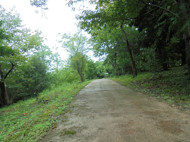 弥生の森遊歩道