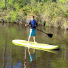 Kayak Rentals Gulf Shores Al - What You Need To Know About Gulf Shores Kayaking Harris Vacation Rentals / You will also find plenty of hotels in gulf shores, including affordable hotels just a short.