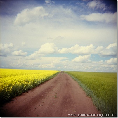 caminhos (17)