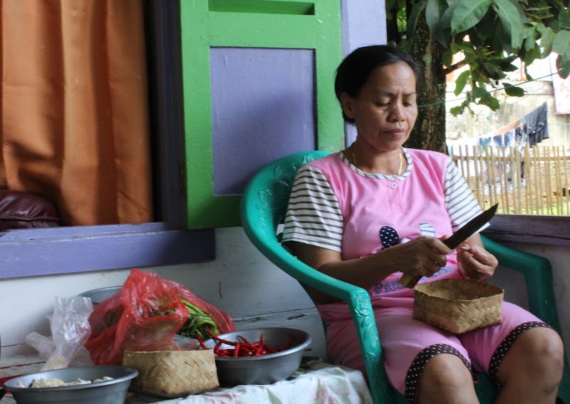 16+ Gambar Ibu Rumah Tangga