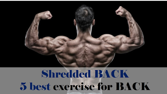 Shredded Back : 5 best exercise for Strong and shredded back