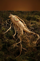 Ginseng