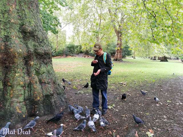 The Mall Buckingham Palace St James Park