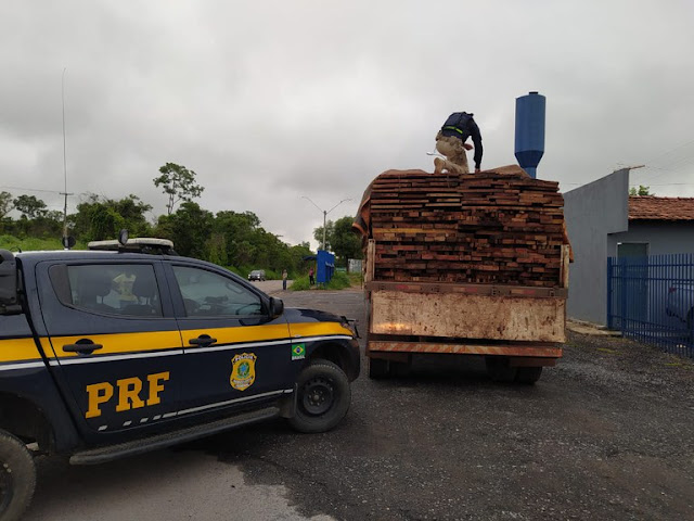  Oeste da Bahia: PRF realiza apreensão de 27 toneladas de madeira serrada em Barreiras