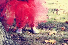 IMG_0066_GD