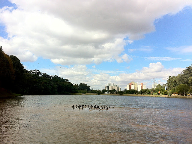 Lago do Parque Toronto