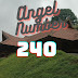 Guided by Angel Number 240: Embracing Challenges, Inviting Opportunities, and Co-Creating Fulfilling Realities