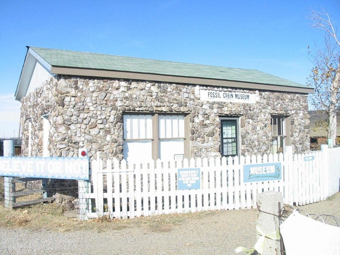 fossil-cabin5