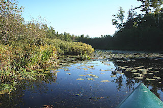 River Connecting Lakes Birch Lodge, Trout Lake, MI