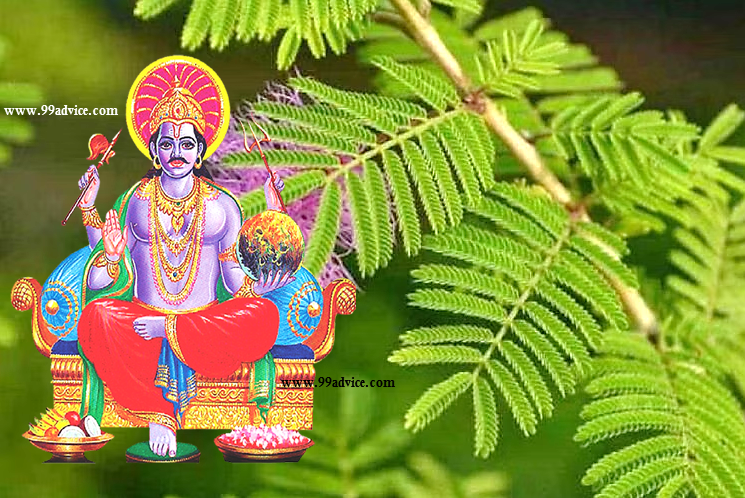 Shani Jayanti 2023: शनि जयंती पर शनि देव को खुश रखने के लिए जरूर चढ़ाएं ये 5 चीजें, शनि दोष हो जाएंगे दूर